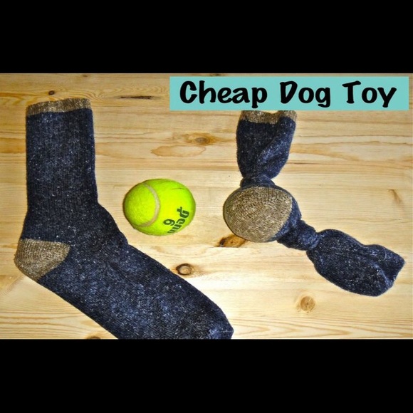 🐾Recycling Fur Pets ‼️Host Pick! - Picture 15 of 15